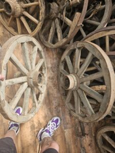 photo_5848269036830444964_y